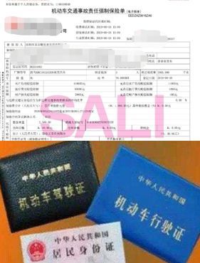 审车与交通事故索赔的实用指南